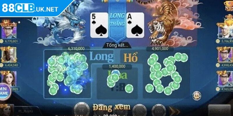 Các loại cược xuất hiện phổ biến trong Dragon Tiger