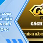 Phân Biệt Go88 Thật Và Giả: Dấu Hiệu Nhận Biết Quan Trọng